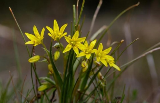 Фото: Shutterstock