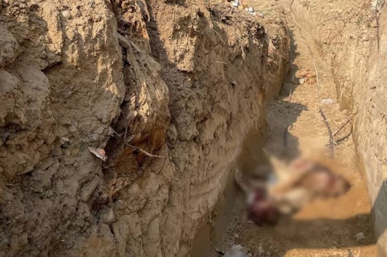 Фото: ОЗЖ Mehr va Oqibat