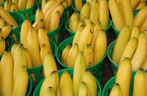 Фото: Открытые источники