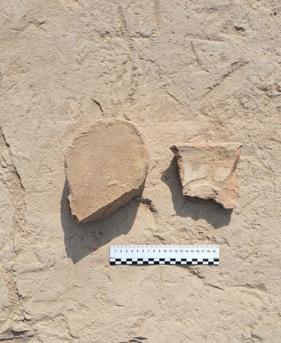 Фото: Академия наук