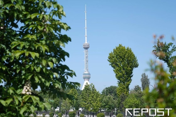 Фото: Repost.uz