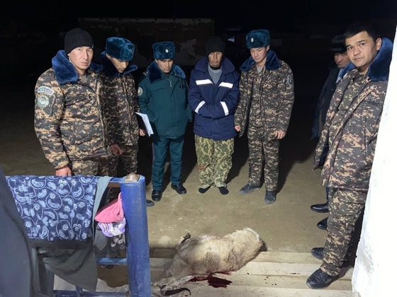 Фото: Пресс-служба Государственного комитета экологии