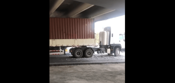 Кадр из видео