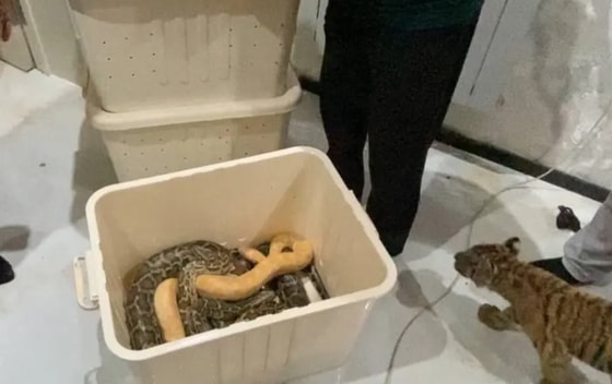 Фото: Минэкологии