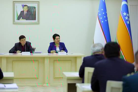 Фото: пресс-служба Сената