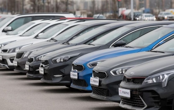 Ситуативное фото / Открытые источники