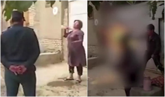 Фото: Кадры из видео