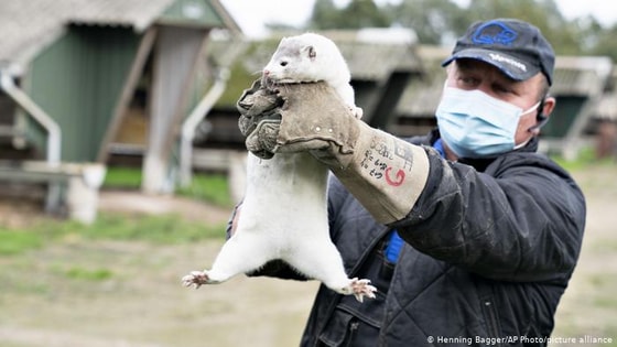 Фото: Henning Bagger