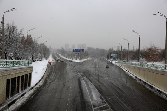 Фото: centre1.com