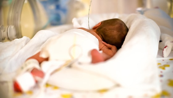 Фото:&nbsp;nuz.uz