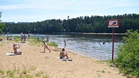 Фото:&nbsp;spb.tsargrad.tv