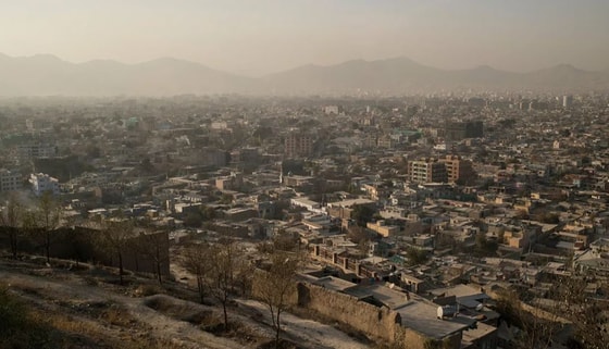 Фото: РИА Новости