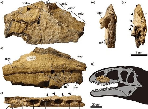 Фото:&nbsp;National Geographic
