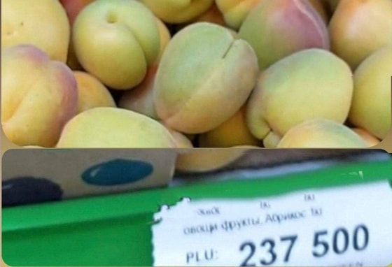 Фото: Открытые источники