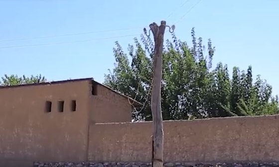 Кадр из видео