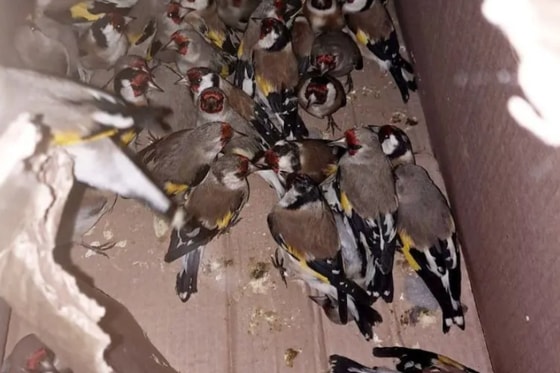 Фото: Минэкологии