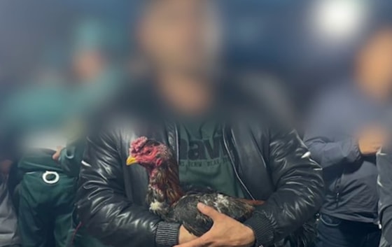 Кадр из видео