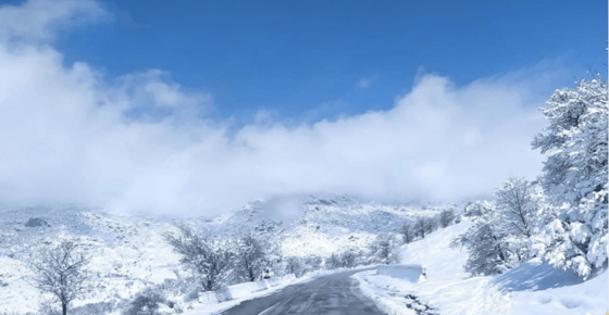 Фото: ГУБДД