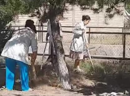 Фото: Кадр из видео