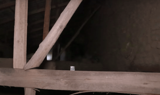 Фото:Кадр из видео