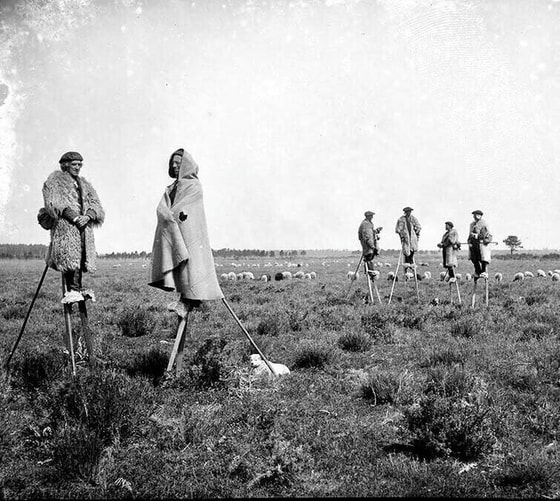 Fransiyada botqoqli yerlarda yurish uchun turli xodalardan foydalanilgan. 1895-yil