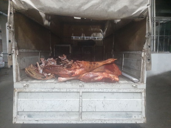 Фото: Санэпидслужба