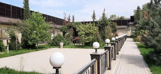 Фото: e-auksion.uz