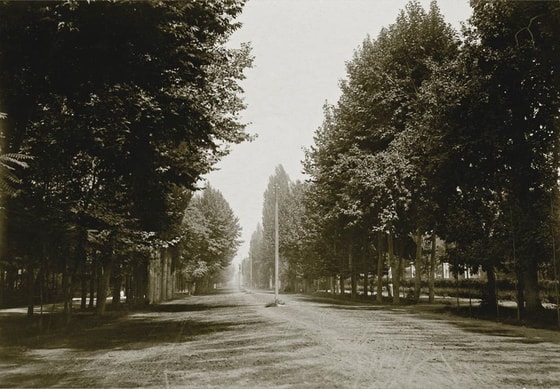 Toshkent ko'chalari. 1907-1911-yil