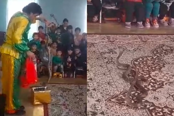 Кадры из видео