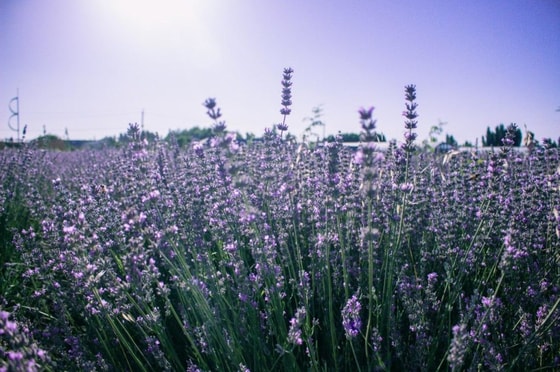 Фото иллюстративное&nbsp;