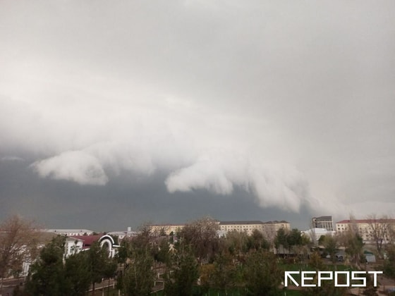 Repost.uz / Фото куплено у мобильного репортёра