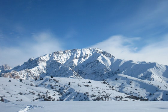 Фото: OrexCA.com