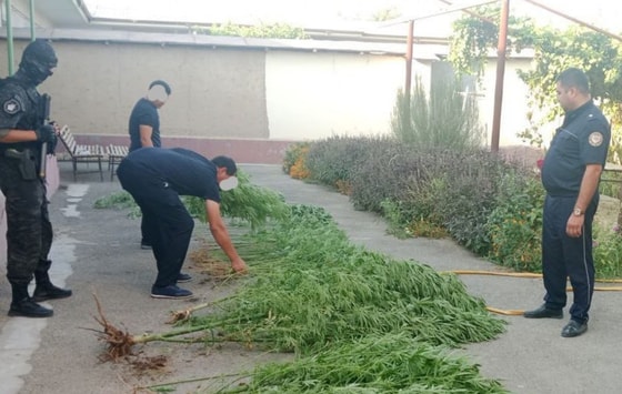 Фото: УВД Джизакской области