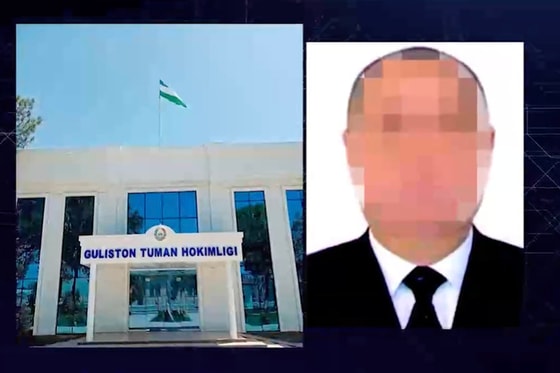 Кадр из видео