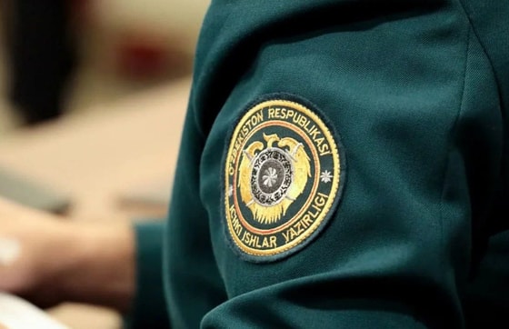 Фото: Открытые источники