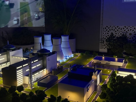 Фото:&nbsp;Мила Аксёнова / Podrobno.uz