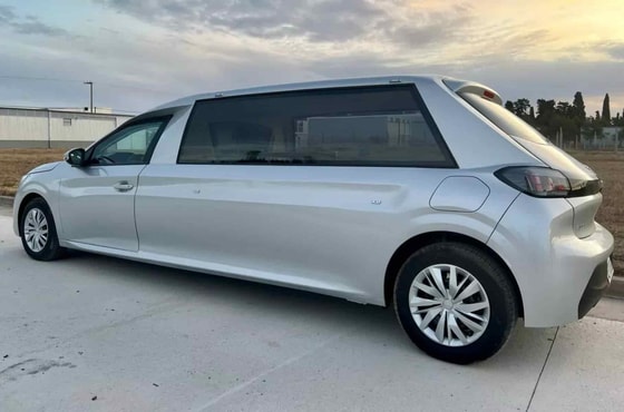 Фото: Daily Motor