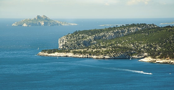 Фото: Свободные источники