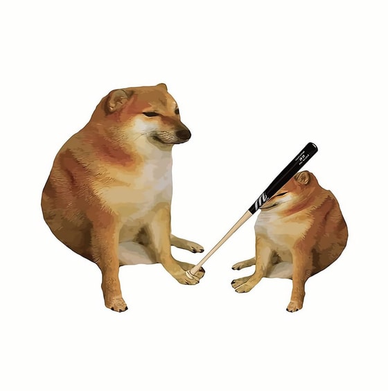 Фото: Открытые источники