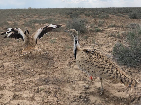 Фото: Пресс-служба Госкомэкологии