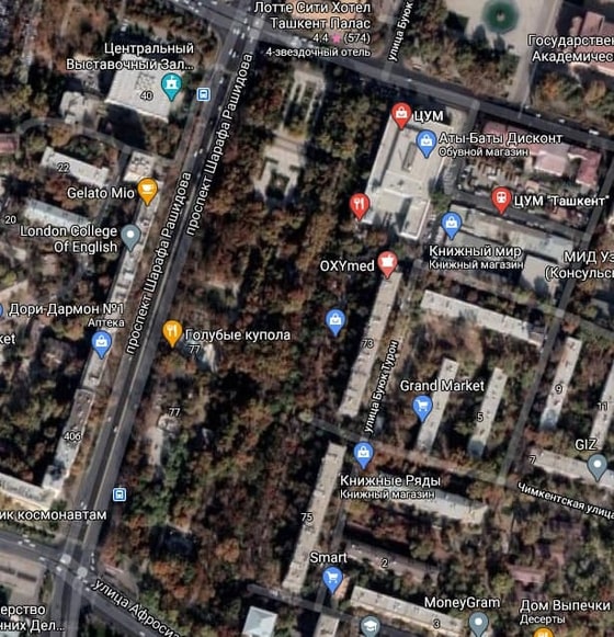 Вид со спутника на парковую зону, в которой по проекту предполагается постройка.&nbsp;