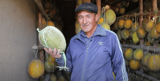 Фото: Кадр из видео