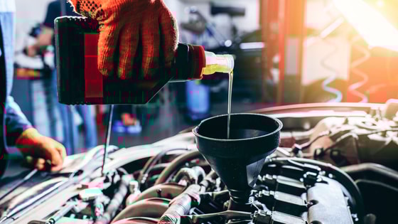 Фото: Открытые источники