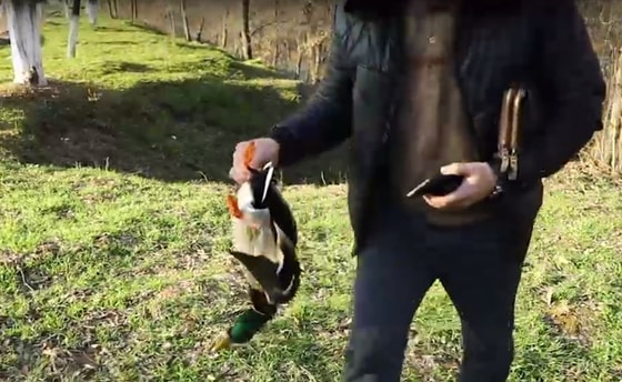 Кадр из видео