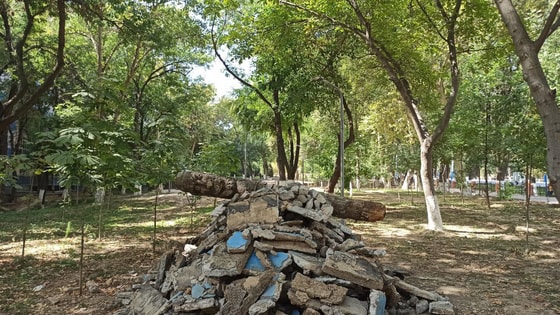 Фото: Открытые источники