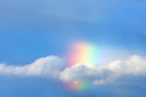 Фото: школажизни.ру