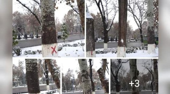 Фото: Госкомэкологии