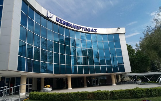 Фото: Sputnik news