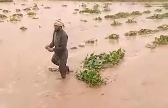 Кадр из видео