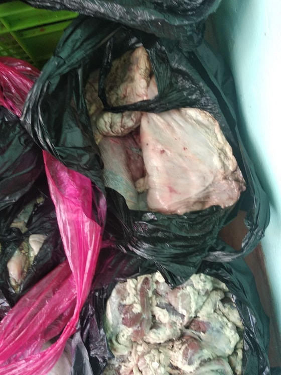 Фото: Пресс-служба Санэпидблагополучия